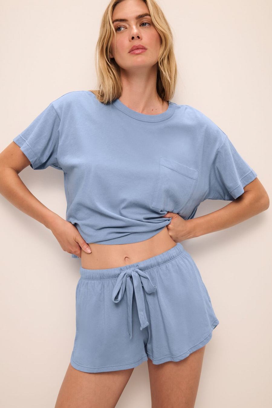 Eberjey Aloe Cotton Short Sleeve Tişört Kadın Mavi | KCY2416TL